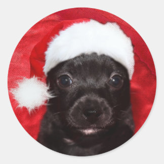 Schwarzer Hundehund Weihnachten Runder Aufkleber