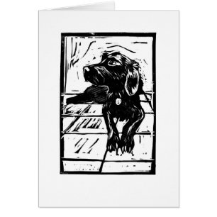 Schwarzer HundSpringador Labdrador Lino