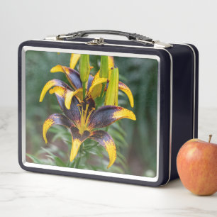 Schwarzer Hybrid Asiatische Lily, mutig und elegan Metall Brotdose