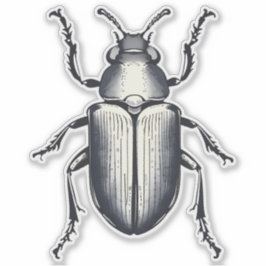 Schwarzer Käfer Aufkleber
