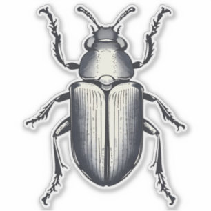 Schwarzer Käfer Aufkleber