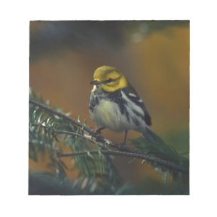 Schwarzer Kehlkopfgrasmücken Notizblock