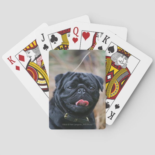 Schwarzer keuchender Mops beim Betrachten der Spielkarten (Rückseite)