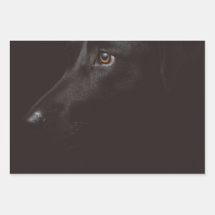 Schwarzer Lab Geschenkpapier Set