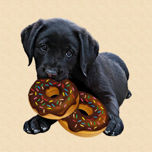 Donut Kissen Hund