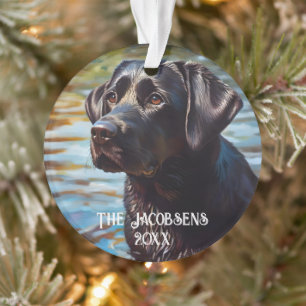 Schwarzer Lab im Wasser Ornament