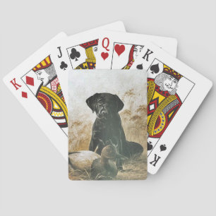 Schwarzer Lab Labrador wartet neben Entenattrappen Spielkarten
