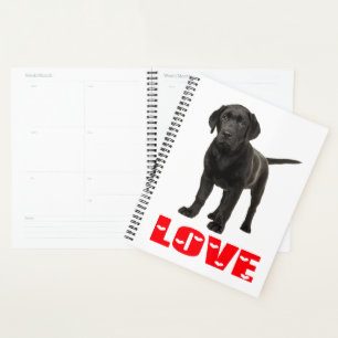 Schwarzer Lab Welpe Hund Liebe Labrador Retriever Planer