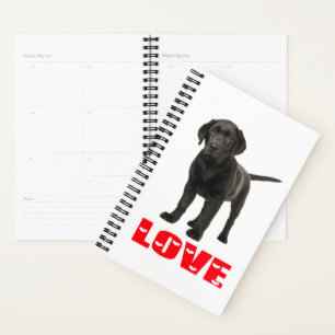 Schwarzer Lab Welpe Hund Liebe Labrador Retriever Planer