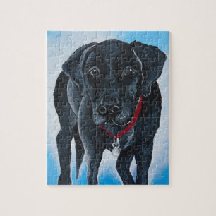 Schwarzer Labrador