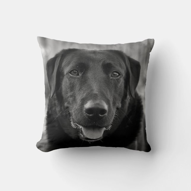 Schwarzer Labrador Foto Hund  Kissen (Vorderseite)