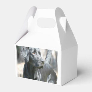 Schwarzer Labrador Geschenkschachtel