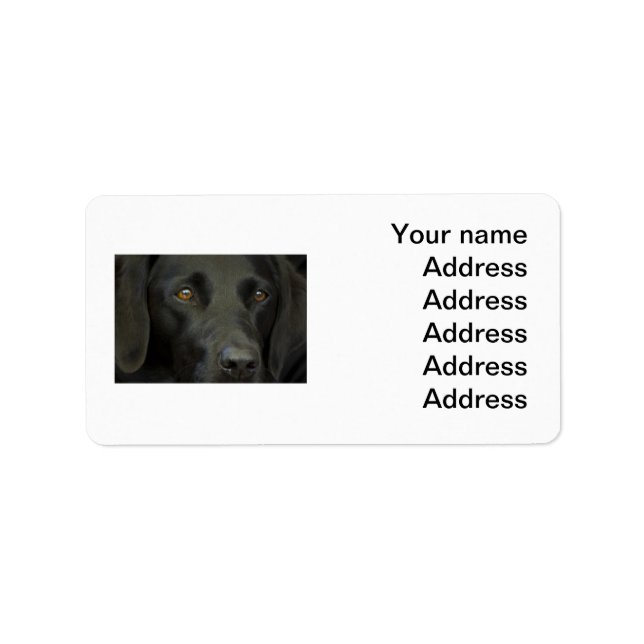 Schwarzer Labrador Hund Adressaufkleber (Vorne)