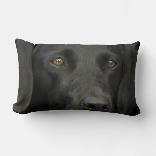 Schwarzer Labrador-Hund Lendenkissen (Vorderseite)