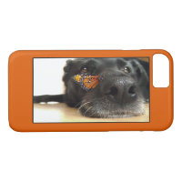 Schwarzer Labrador-Hund mit Schmetterling