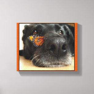 Schwarzer Labrador-Hund mit Schmetterling Leinwanddruck