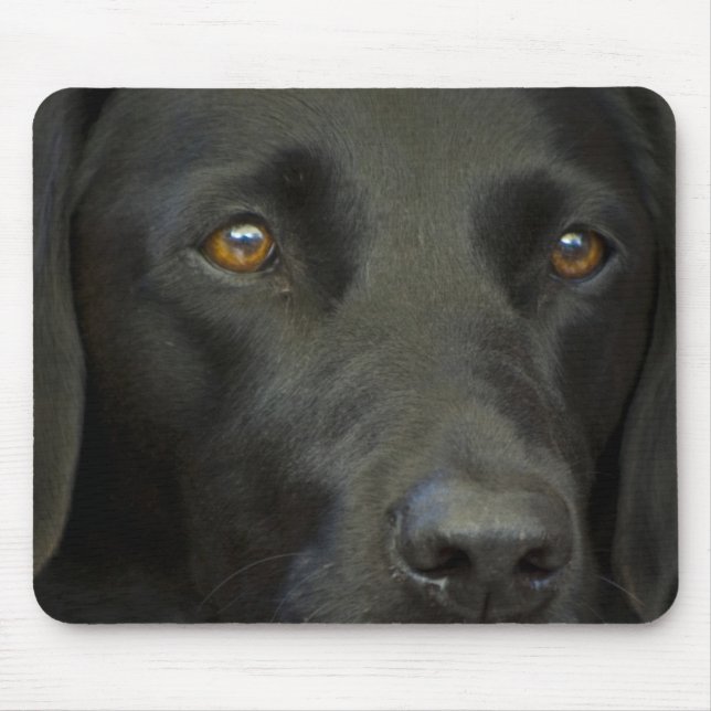 Schwarzer Labrador-Hund Mousepad (Vorne)