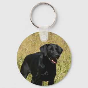 Schwarzer Labrador im Feld-Schlüsselanhänger Schlüsselanhänger