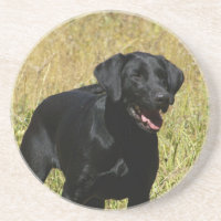 Schwarzer Labrador im Feld-Untersetzer