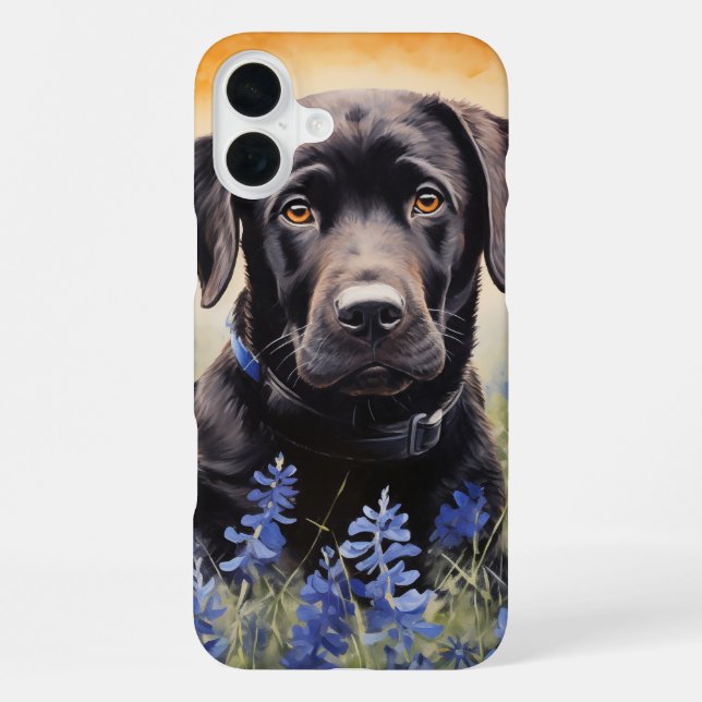 Schwarzer Labrador in Bluebonnets iPhone 16 Plus Hülle (Rückseite)