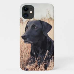 Schwarzer Labrador in trockenem Gras Case-Mate iPhone Hülle