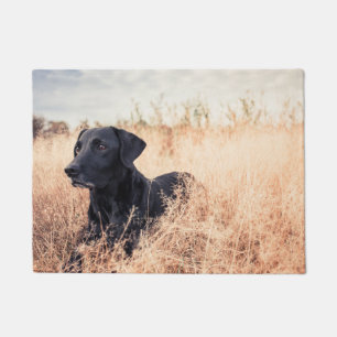 Schwarzer Labrador in trockenem Gras Fußmatte