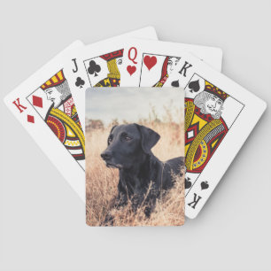 Schwarzer Labrador in trockenem Gras Spielkarten