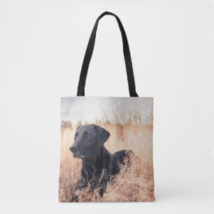 Schwarzer Labrador in trockenem Gras Tasche