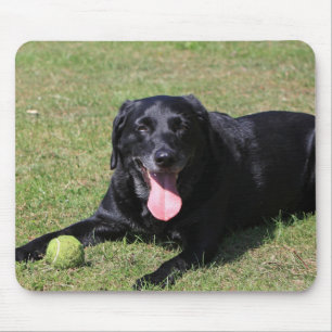 schwarzer Labrador laying.png Mousepad