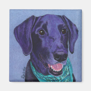 Schwarzer Labrador-Magnet - "Gus " Magnet