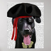 Schwarzer Labrador Pirate