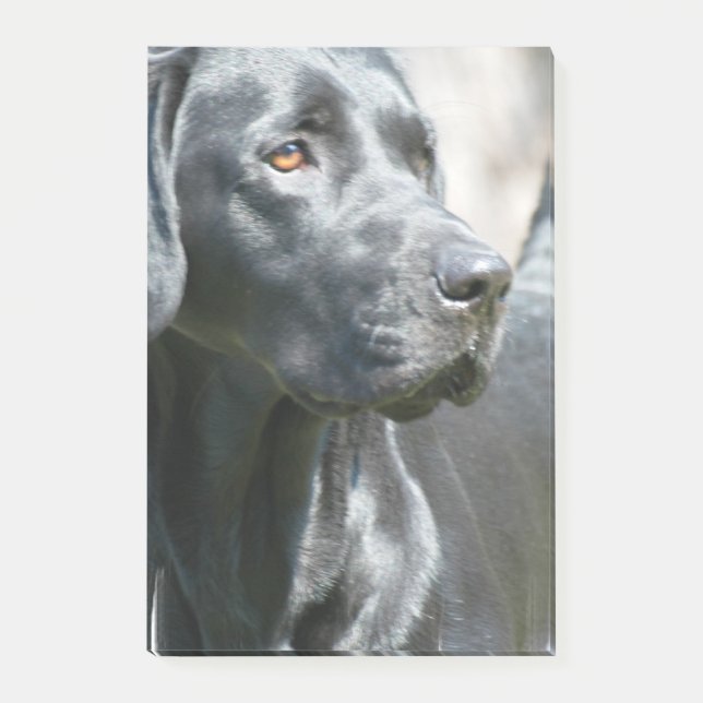 Schwarzer Labrador Post-it Klebezettel (Vorderseite)