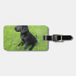 Schwarzer Labrador Retriever auf Gras Gepäckanhänger