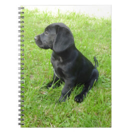 Schwarzer Labrador Retriever auf Gras Notizblock