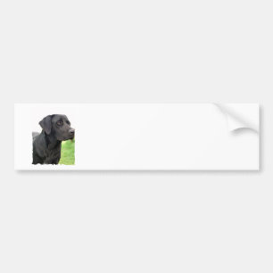 Schwarzer Labrador-Retriever-Autoaufkleber Autoaufkleber