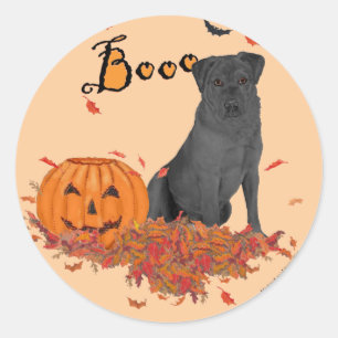 Schwarzer Labrador Retriever Boo! Runder Aufkleber