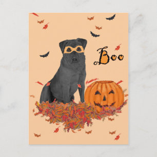Schwarzer Labrador Retriever Halloween Postkarte