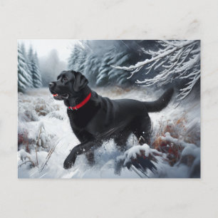 Schwarzer Labrador Retriever Hund im Schnee Postka Postkarte
