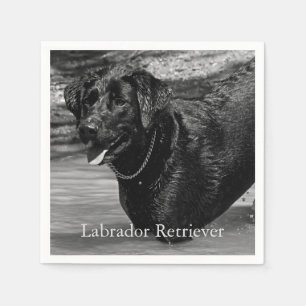 Schwarzer Labrador-Retriever im Wasser Serviette