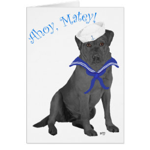 Schwarzer Labrador Retriever Matrose