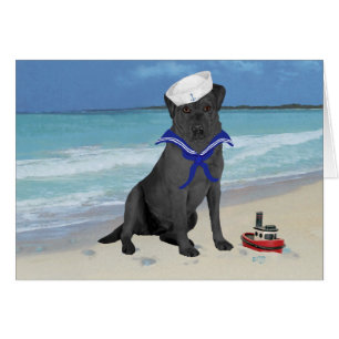 Schwarzer Labrador Retriever Matrose