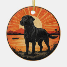Schwarzer Labrador Retriever Sonnenuntergang Vinta