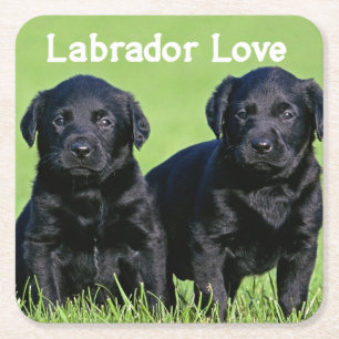 Schwarzer Labrador Retriever Welpe Hunde Liebe Rechteckiger Pappuntersetzer