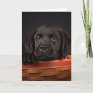 Schwarzer labrador retriever-Welpe in einem Korb Karte