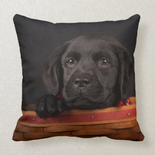 Schwarzer labrador retriever-Welpe in einem Korb Kissen