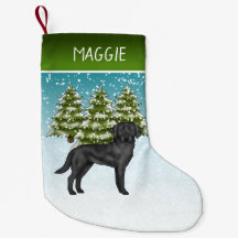 Schwarzer Labrador Retriever Winter Forest Individ