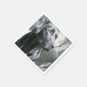 Schwarzer Labrador Serviette