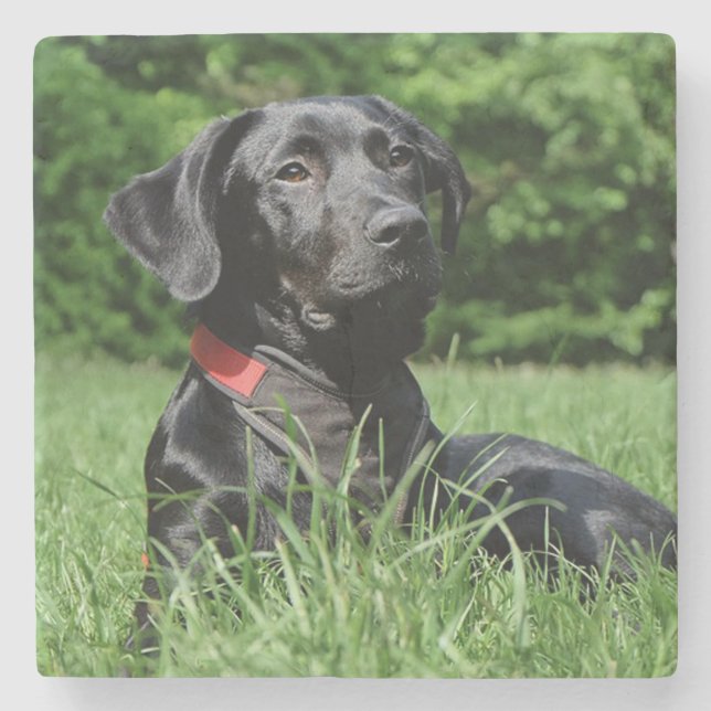 Schwarzer Labrador Steinuntersetzer (Vorderseite)