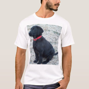 Schwarzer Labrador T-Shirt