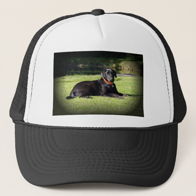 Schwarzer Labrador Truckerkappe (Vorderseite)